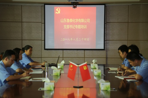 1535100846841271.jpg 20180824基层党支部主题培训.JPG