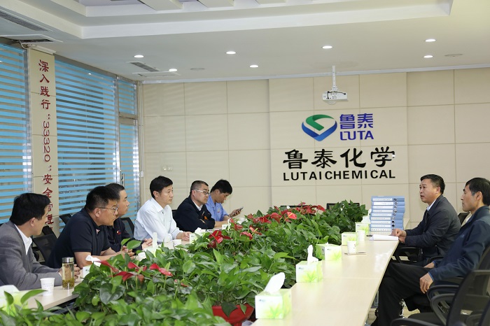 市应急局督导组 到鲁泰化学督导工作DOC 文档.jpg