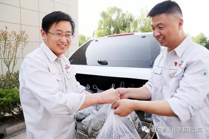 心系职工群众——鲁泰化学开展“送粽子 传温情”活动1.jpg