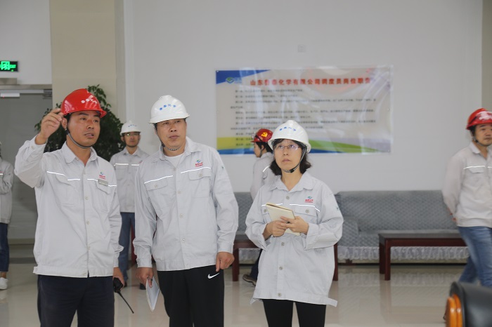 9.4省异地执法检查组来鲁泰化学进行执法检查 DOC 文档(1)(2)3.JPG