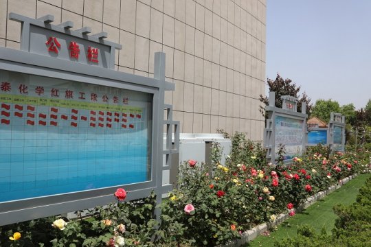公司风景