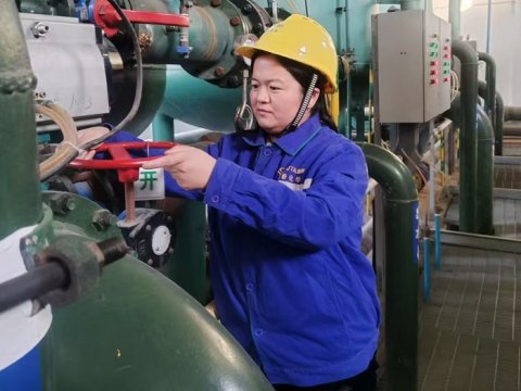 先进工作者 杨晓梅