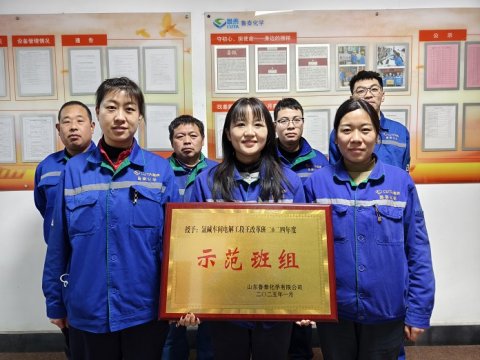 公司示范班组 王改革班